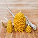 Pine Cone Beeswax Candles Candles and Home Fragrance - San Marcos Farms, The Santa Barbara Company